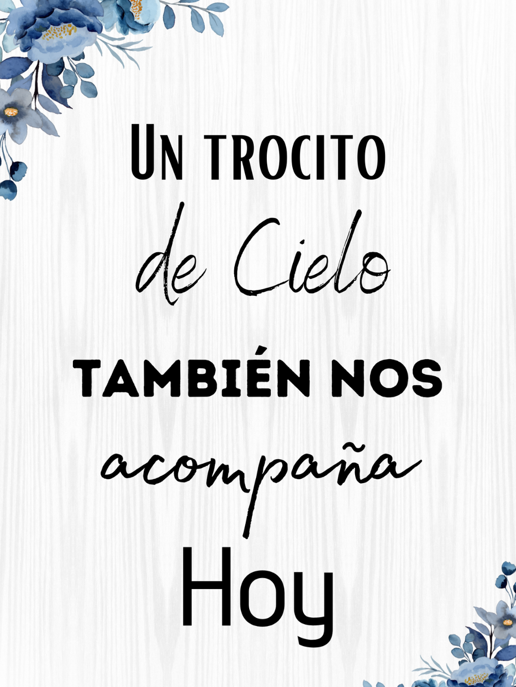 Cartel un trocito de cielo