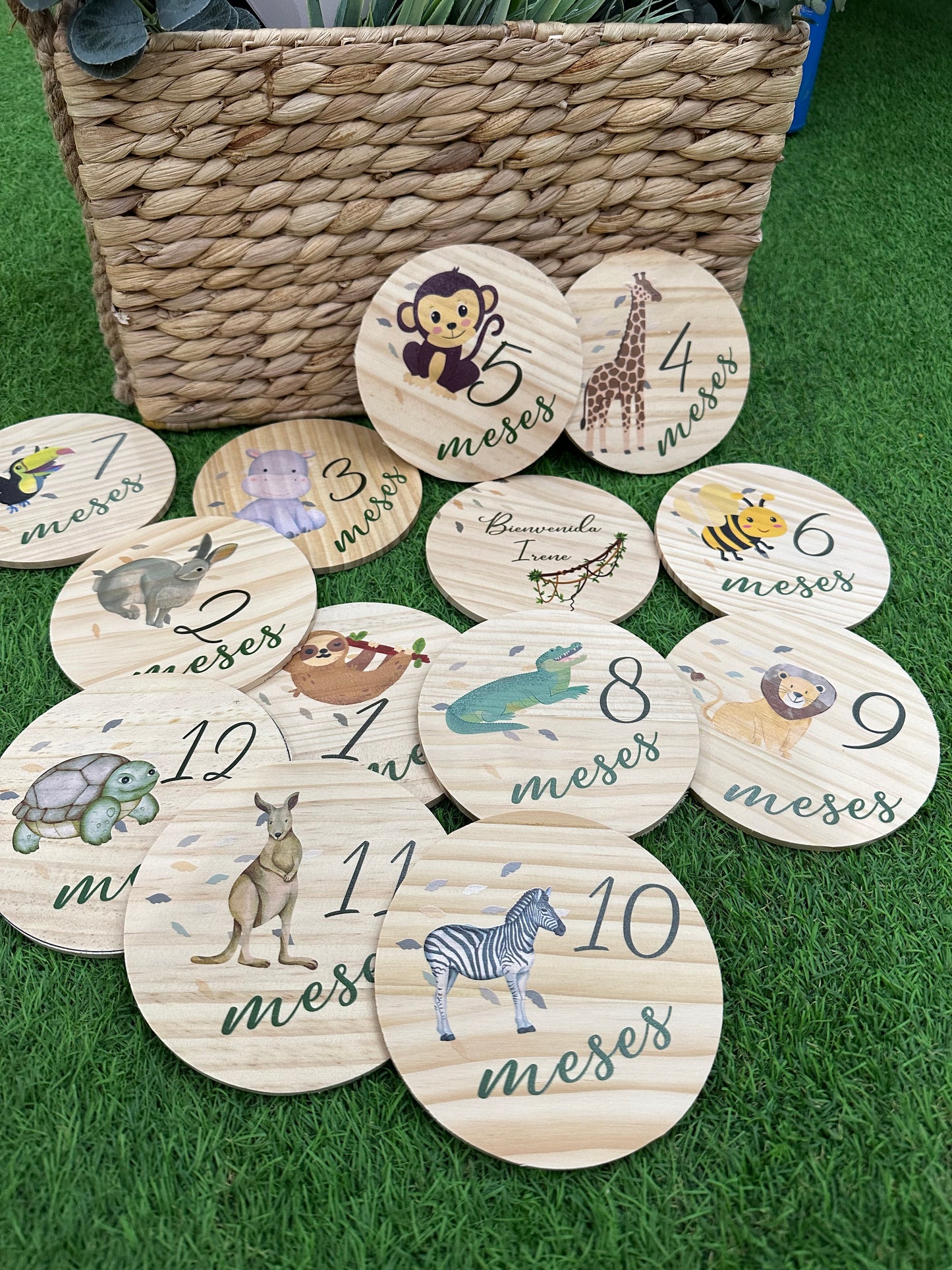 Cumple mes de madera personalizados para bebés animales