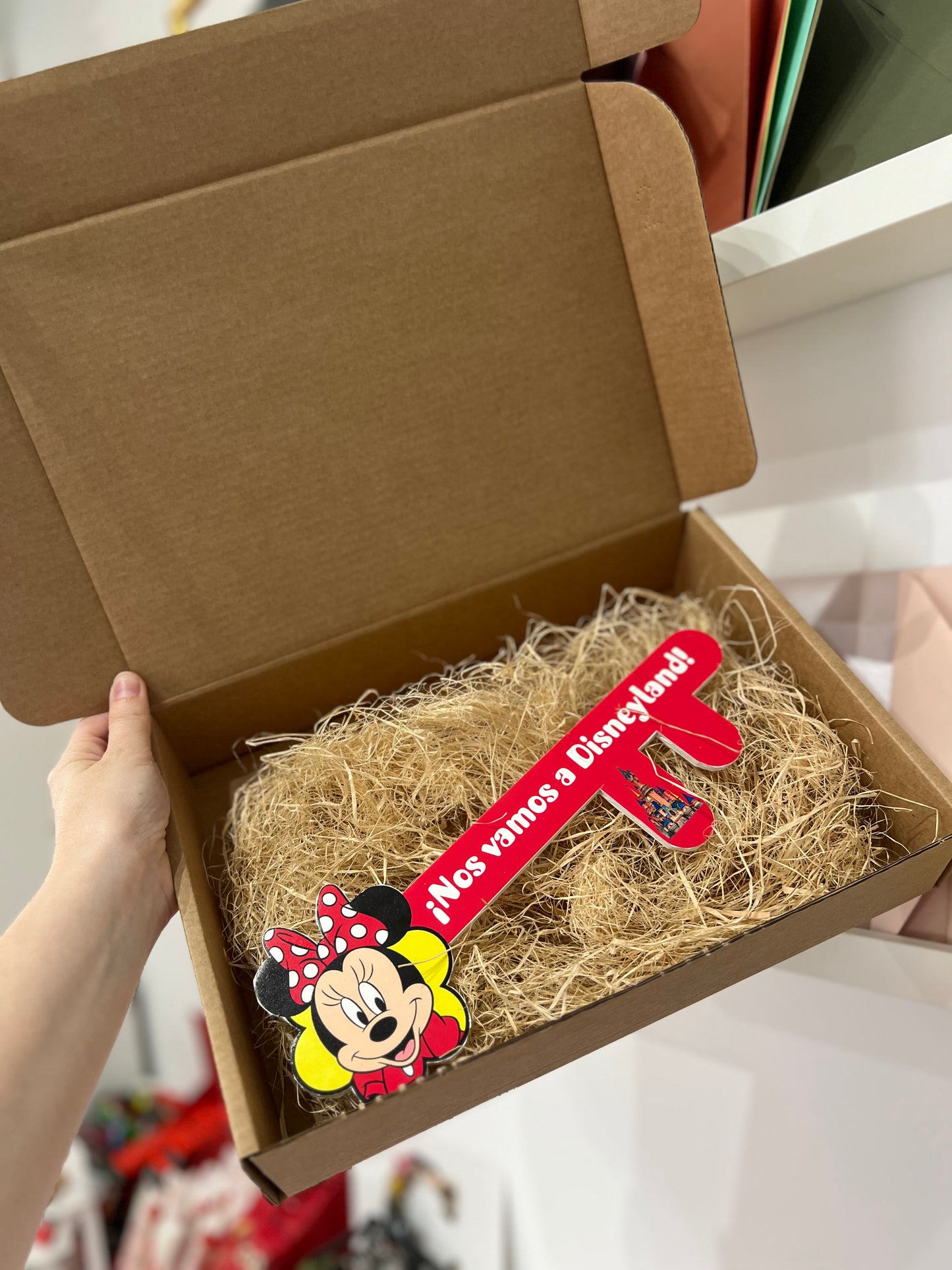 ¡Nos vamos a Disneyland! Llave mágica