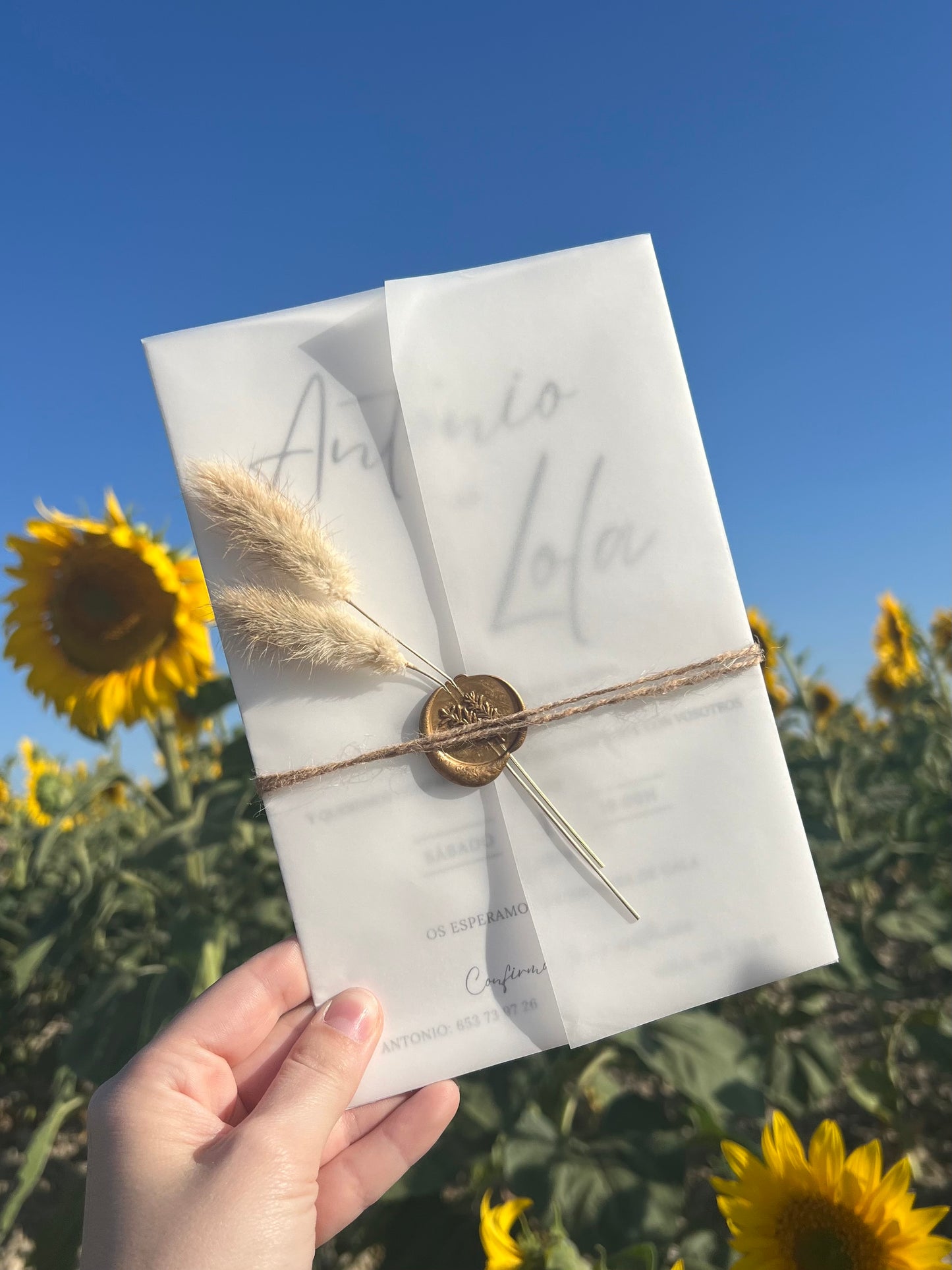 Invitación con envoltorio de papel, papel vegetal