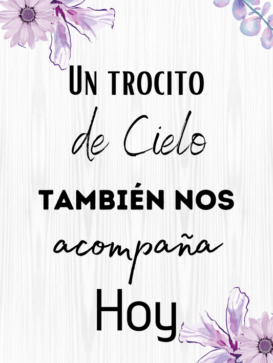 Cartel un trocito de cielo